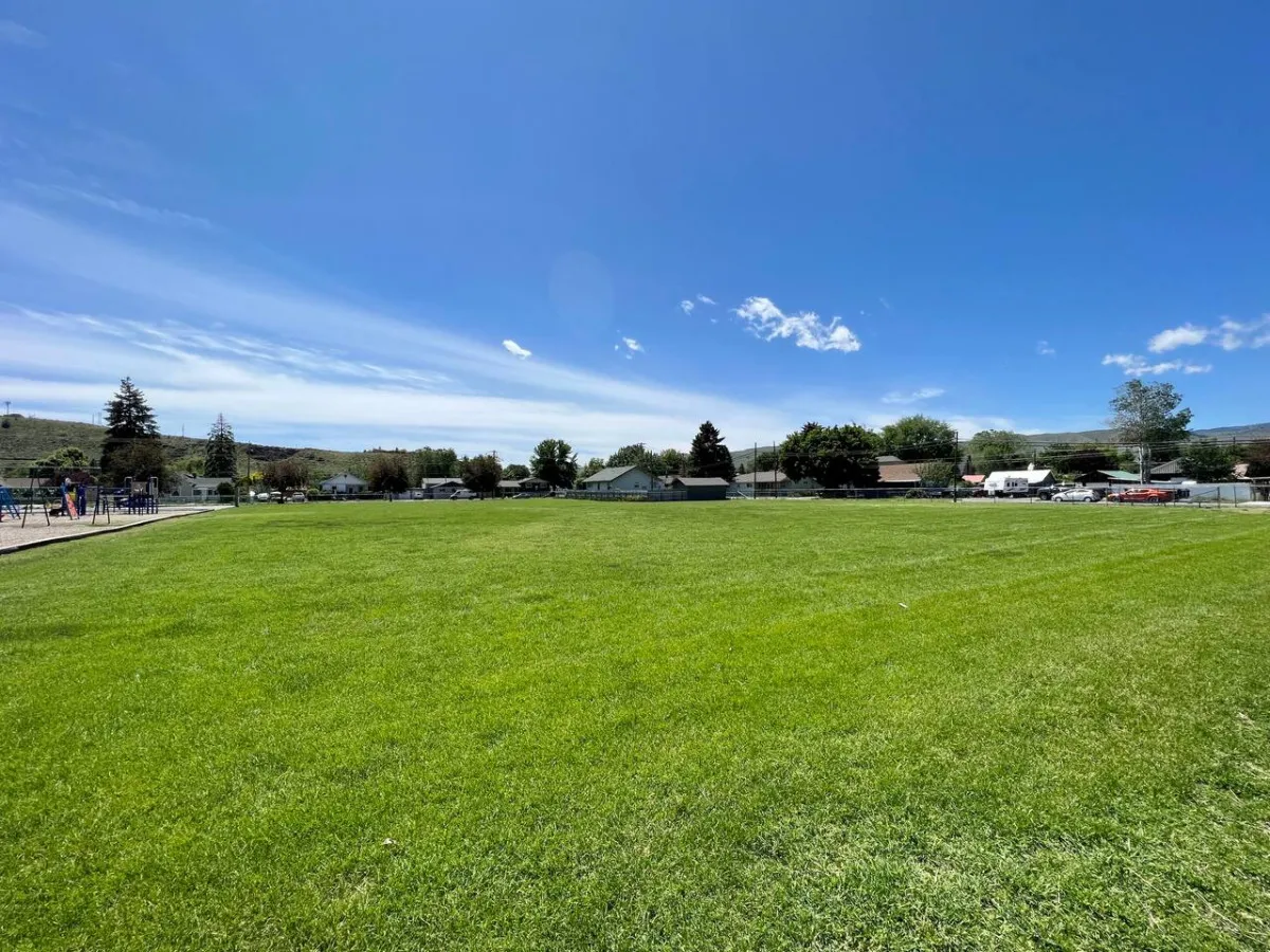 A wide green lawn dotted with playground equipment and surrounded by residential homes, where people enjoy sporting activities, picnics, and playful moments in a vibrant, communal park setting.