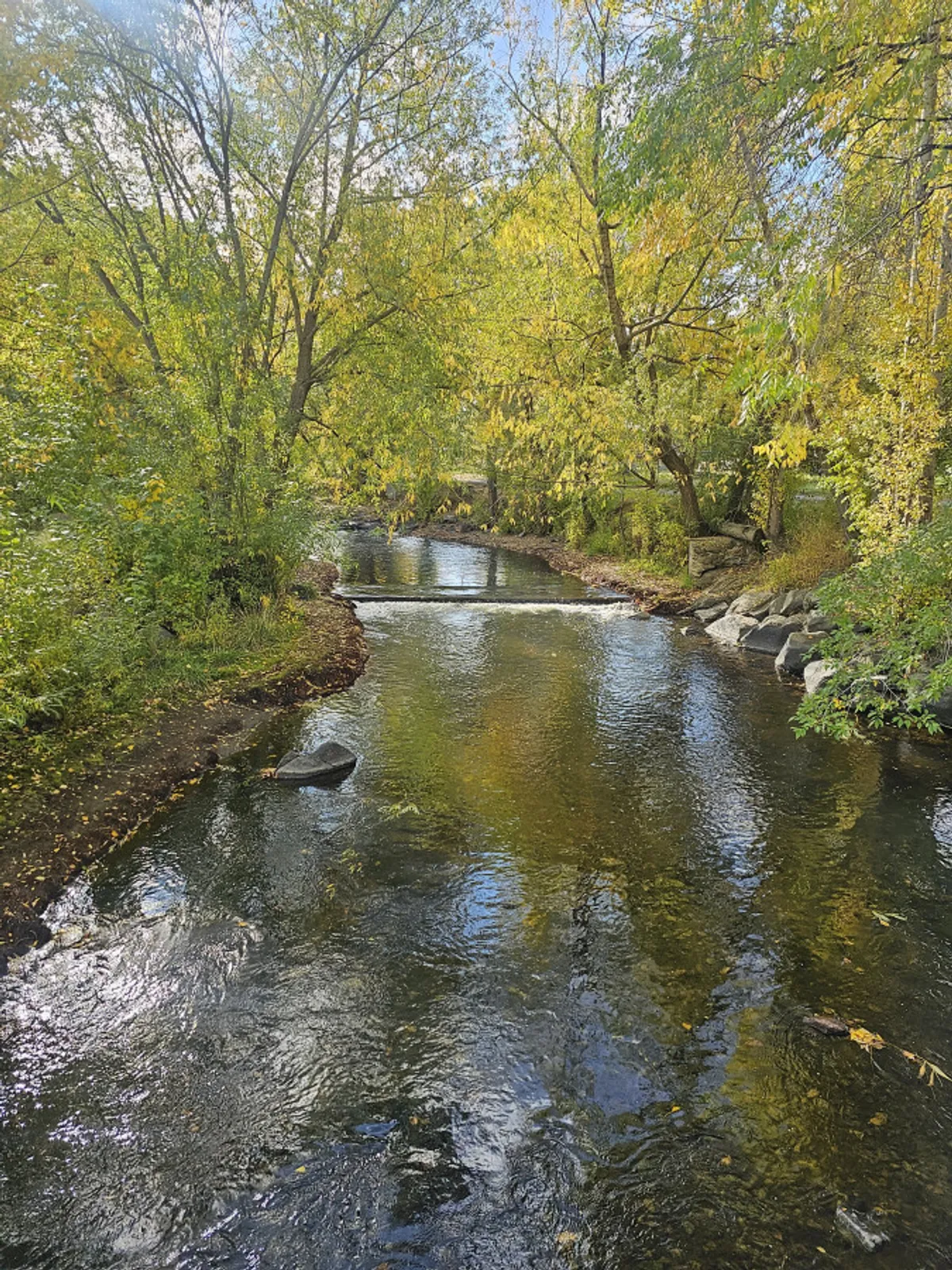 A tranquil view of a meandering stream bordered by lush trees, with reflections shimmering on the water. The scene is peaceful and seasonal, inviting visitors to enjoy nature walks, picnics, and the beauty of the outdoors surrounding Baker City.