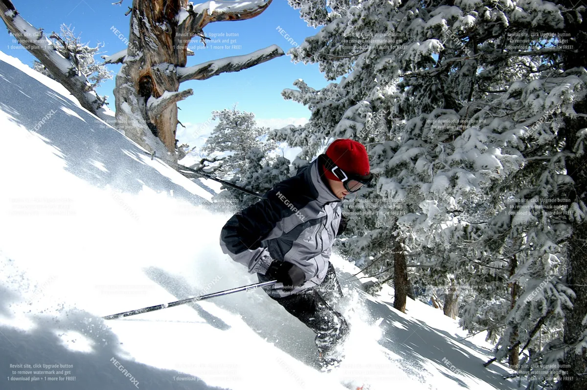 A skier is captured gliding down a snow-covered slope bordered by trees, with an energetic and adventurous mood. The image evokes excitement and the promise of local adventure.